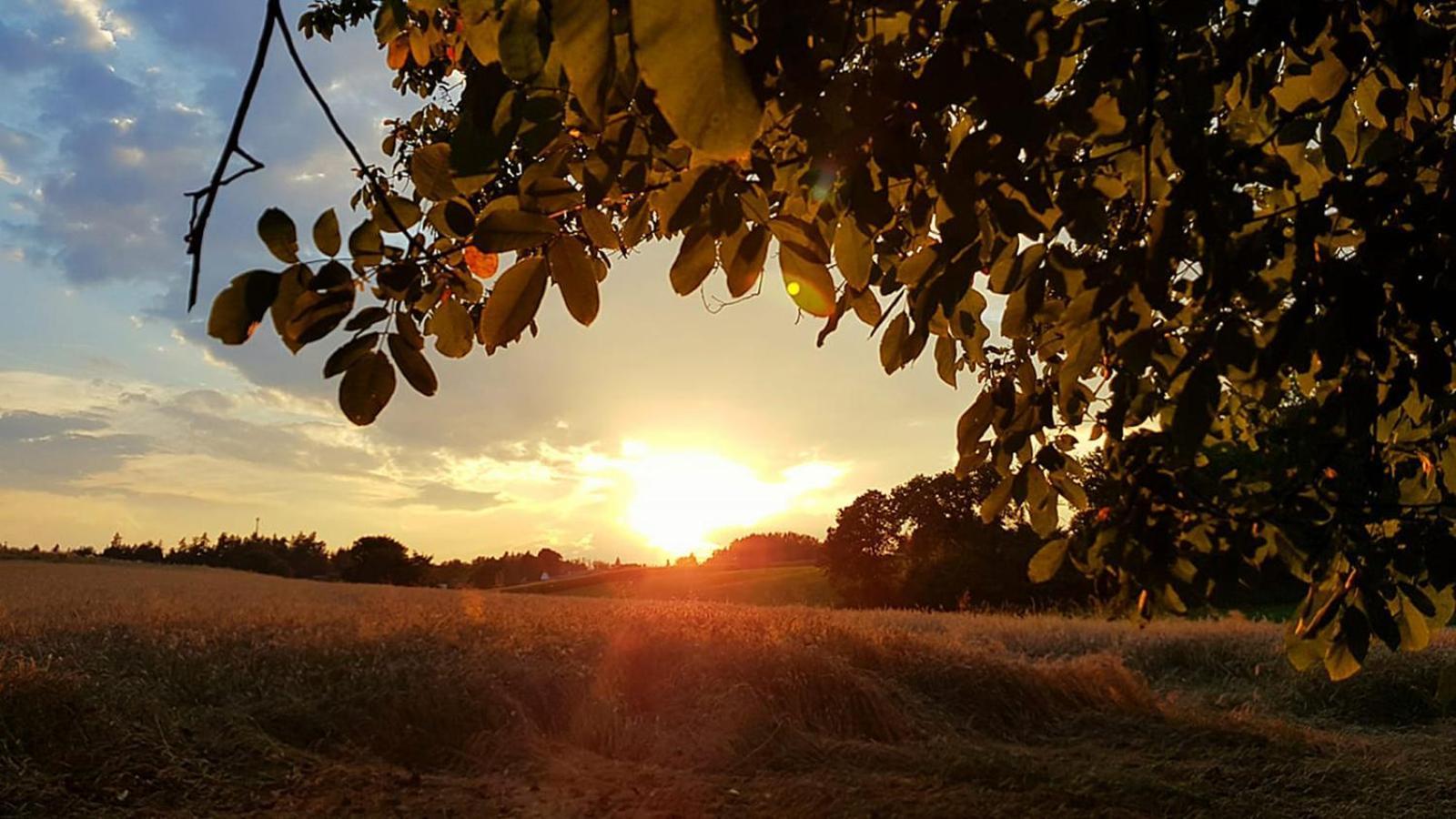 Ferienwohnung "Haus Falle" Schiefling am See Exteriér fotografie
